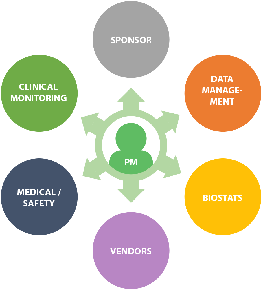 lotus-cro-project-management-clinical-research-project-manager